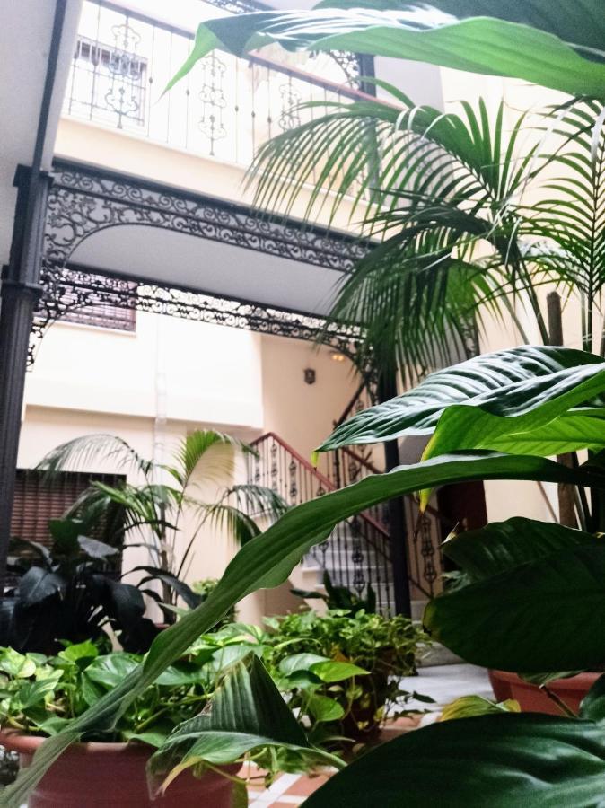 Botanic Suite มาลากา ภายนอก รูปภาพ